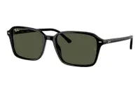 Ray-Ban Raimond RB2231 901/31