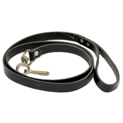 Lesa piele caine mare