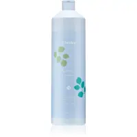Echosline Balance+ Shampoo șampon pentru un scalp sanatos 1000 ml