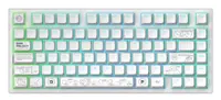 Tastatură mecanică Dark Project - ALU81A Terra Nova, fără fir, G3MS Moonstone, RGB, alb