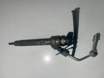 Injector 7798446 BMW X1 (2009-2016) [E84] 2.0d n47d20c