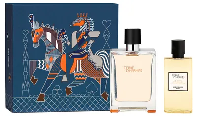 Hermes Terre d'Hermès Set - Apă de toaletă și Gel de duș, 100 + 80 ml