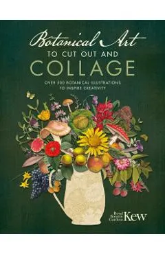 Botanical Art to Cut Out and Collage: Over 500 Botanical Illustrations to Inspire Creativity