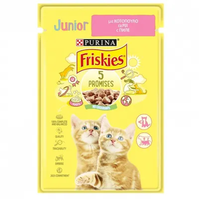 Hrana umeda pentru pisici Friskies Junior cu pui in sos 85 gr
