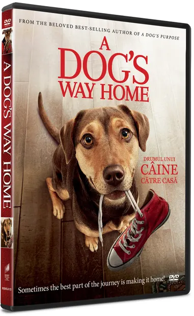 Drumul unui caine catre casa / A Dog's Way Home