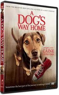 Drumul unui caine catre casa / A Dog's Way Home