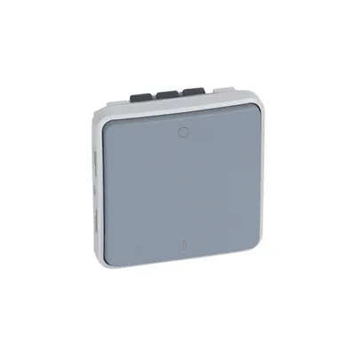 doi poli switch Plexo - IP55-IK07 - 16 A-250 V~ - gri
