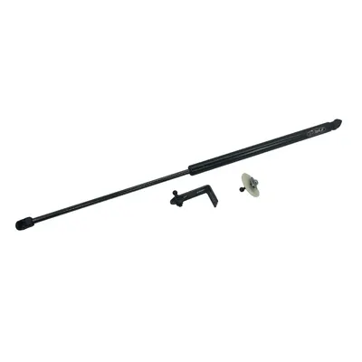 Amortizor Capota Compatibil Ford Capri EV 2024-Prezent/ Ford Explorer EV 2024-Prezent