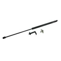 Amortizor Capota Compatibil Ford Capri EV 2024-Prezent/ Ford Explorer EV 2024-Prezent