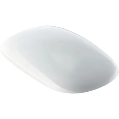 Capac Wc soft close alb Geberit, Citterio