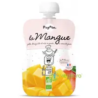Piure cu 100% Mango +4/6 Luni Ecologic/Bio 120g