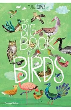 Big Book of Birds