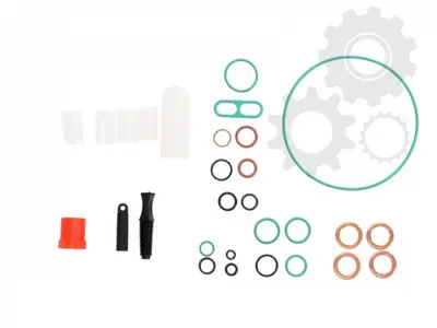 Set reparatie pompa combustibil (Potriveste DFP1) FORD FOCUS, FOCUS C-MAX, FOCUS II, GALAXY 1.8D intre 2001-2015