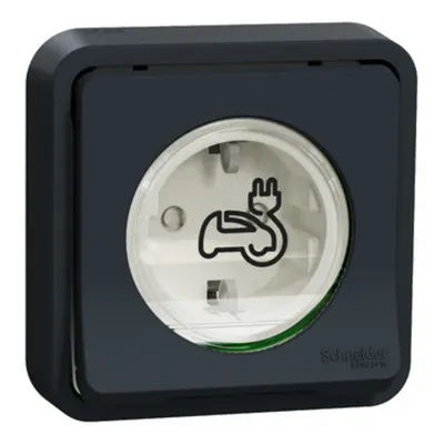 Mureva IP55, Priza pentru incarcarea vehiculelor electrice, 2P+E, montaj incastrat, cu obturatoare, gri