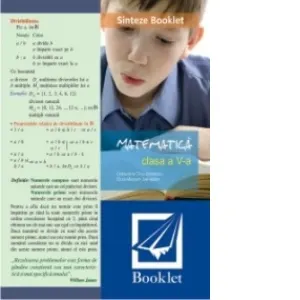 Sinteze Booklet - Matematica