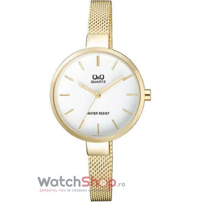 Ceas Q&q Fashion Qa15j001y
