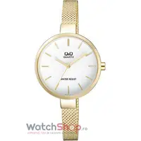 Ceas Q&q Fashion Qa15j001y