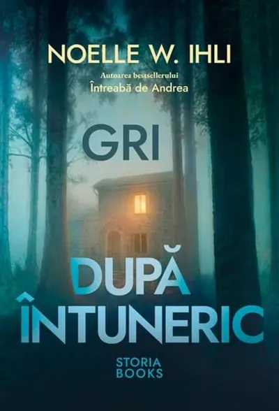 Gri după întuneric - Paperback brosat - Noelle W. Ihli