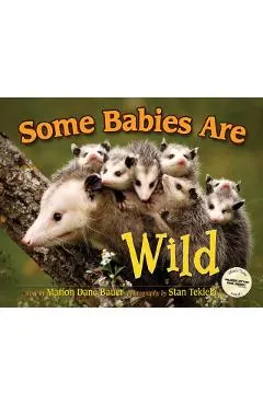 Some Babies Are Wild