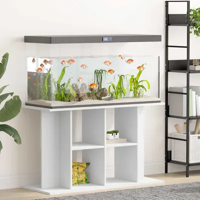 vidaXL Suport pentru acvariu, alb, 100x40x60 cm, lemn prelucrat