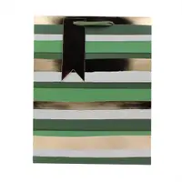 Punga Clairefontaine XL Green stripe