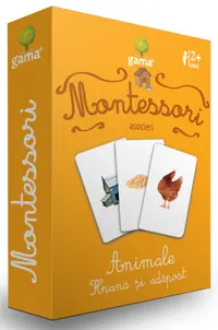 Montessori. Asocieri