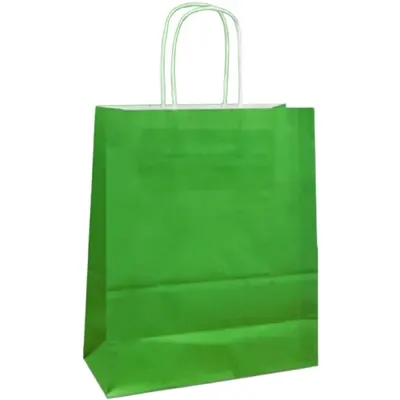 Pungi Hartie cu Manere Rasucite, Biodegradabile, Verde Deschis, 20 x 9 x 25 cm, 100 Bucati
