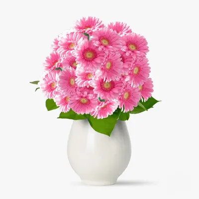 Buchet de 25 gerbera roz