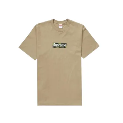 T-shirt Box Logo FW23 Khaki