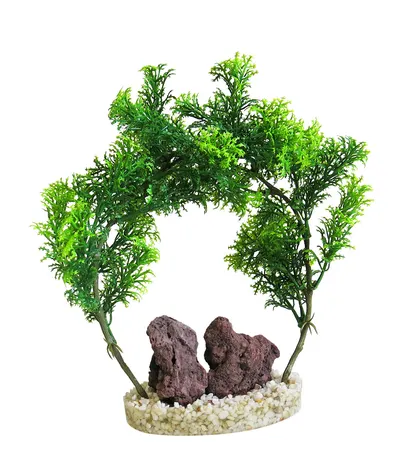 Sydeco Planta Rock Arch 21 cm 380459