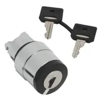 Cap Selector 3 Pozitii cu Revenire Ø22 Ronis 520E
