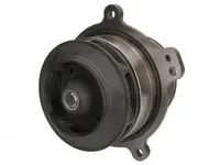 Pompa apa (cu rulment: 105mm) potrivit IVECO EUROTRAKKER; ASTRA HD 7-C, HD 8 F3BE0681G F3BE0681J 01.00-