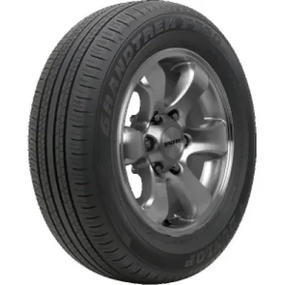 Dunlop Grandtrek PT30 ( 225/60 R18 100H BLK )