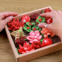 Set creativ - Wood&Craft DIY Succulents - Passion