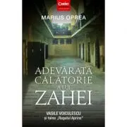 Adevarata calatorie a lui Zahei. Vasile Voiculescu si taina Rugului Aprins
