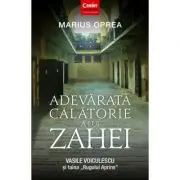 Adevarata calatorie a lui Zahei. Vasile Voiculescu si taina Rugului Aprins