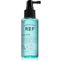 REF Ocean Mist N°303 spray cu sare cu efect matifiant