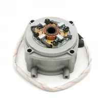 Rotor si stator pornire Pocket Bike, Mini atv 50cc, 2T