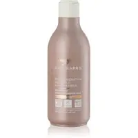 Bottega Verde Zenzero sampon fortifiant pentru păr