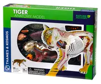Set pentru copii Kosmos - Anatomia tigrului