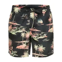 Pantaloni scurți de înot pentru bărbați Quiksilver Everyday Mix Volley 17"