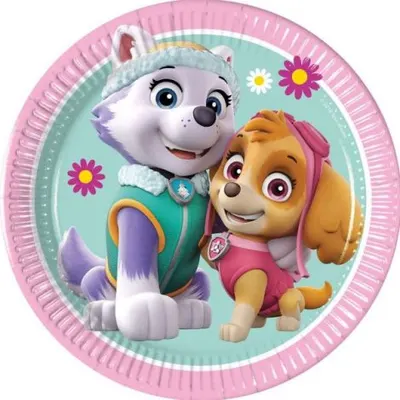Farfurii petrecere paw patrol skye & everest 20 cm