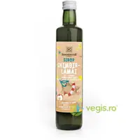 Sirop de Ghimbir si Lamaie fara Zahar Adaugat Ecologic/Bio 500ml