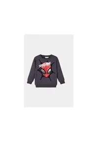 Bluza baieti - 302937721 - Bumbac - 92 CM - Gri