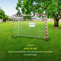 Poarta de fotbal Dunlop 300x200x110 cm
