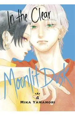 In the Clear Moonlit Dusk 4