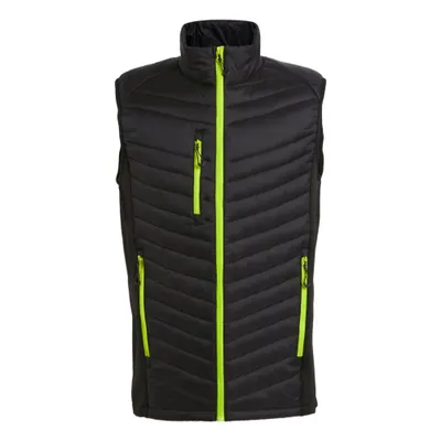 Gilet Drumeții În Natură Regatta Navigate Hibrid Matlasată Bărbați