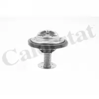 Termostat, lichid racire CALORSTAT by Vernet TH7373.82J