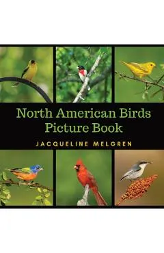 North American Birds Picture Book: Dementia Activities for Seniors (30 Premium Pictures on 70lb Paper With Names)