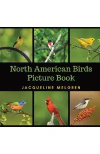 North American Birds Picture Book: Dementia Activities for Seniors (30 Premium Pictures on 70lb Paper With Names)